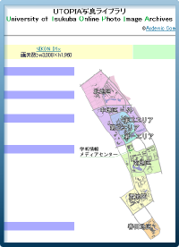 写真アーカイブサイト:イメージ図